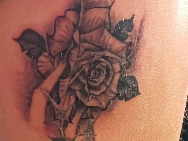 Semirealistic Rose